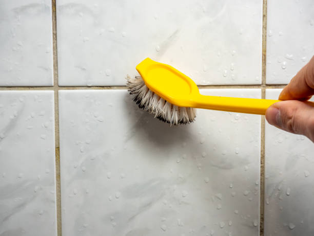 Best Same-Day Mold Removal  in Genoa, IL