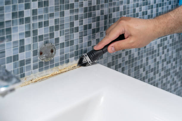 Best Mold Removal Company Near Me  in Genoa, IL
