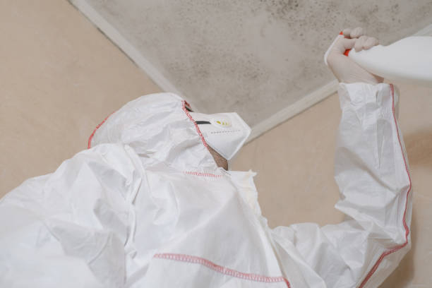 Best Mold Testing  in Genoa, IL