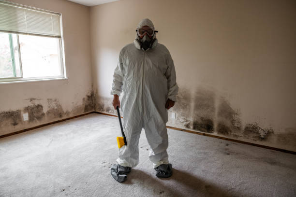 Best Mold Testing  in Genoa, IL